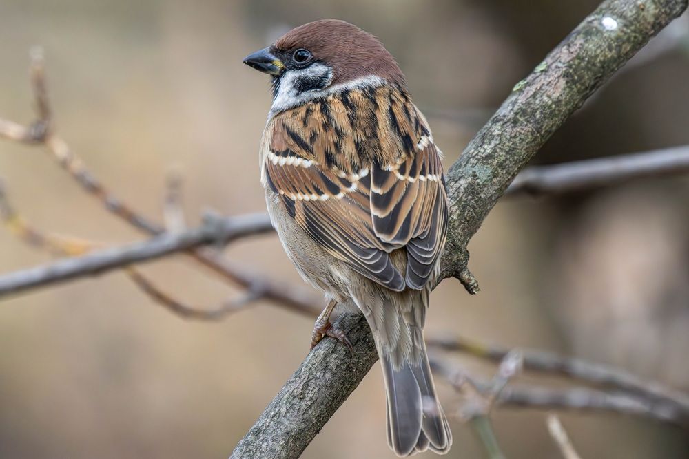 Photograph by Волынский Виктор