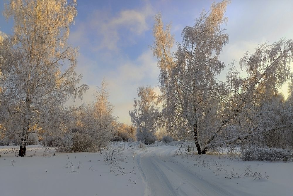 Фотография автора Александр Попов