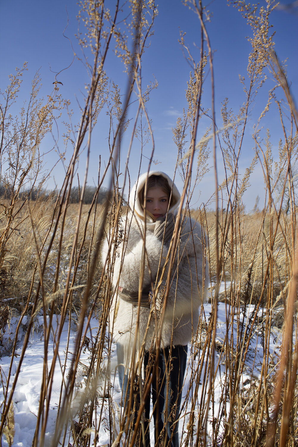 Photo #13196065