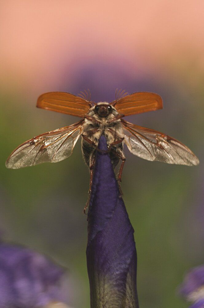 Photograph by Алексейчик Ольга