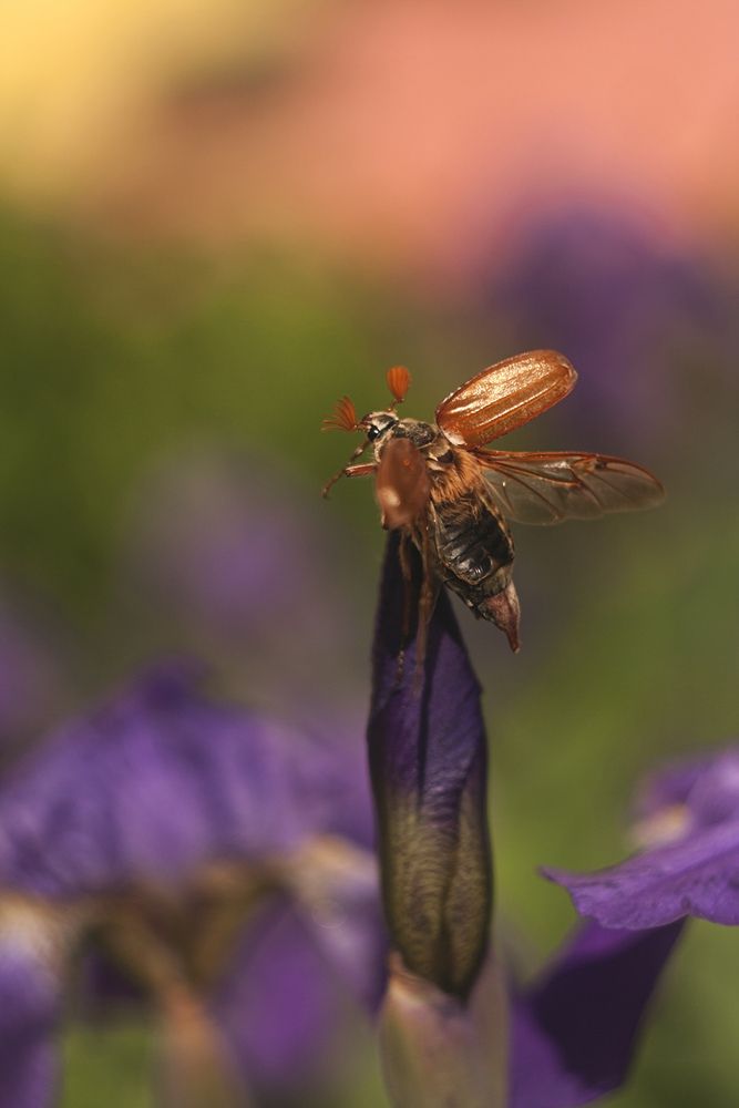 Photograph by Алексейчик Ольга