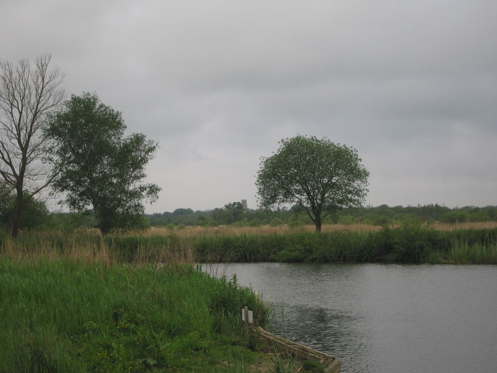 Photograph by Isabella Northrop