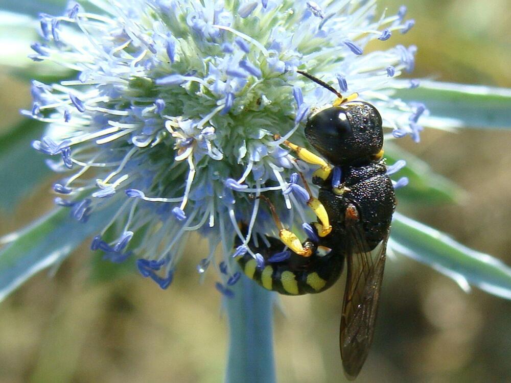 Фотография автора Павел Попов