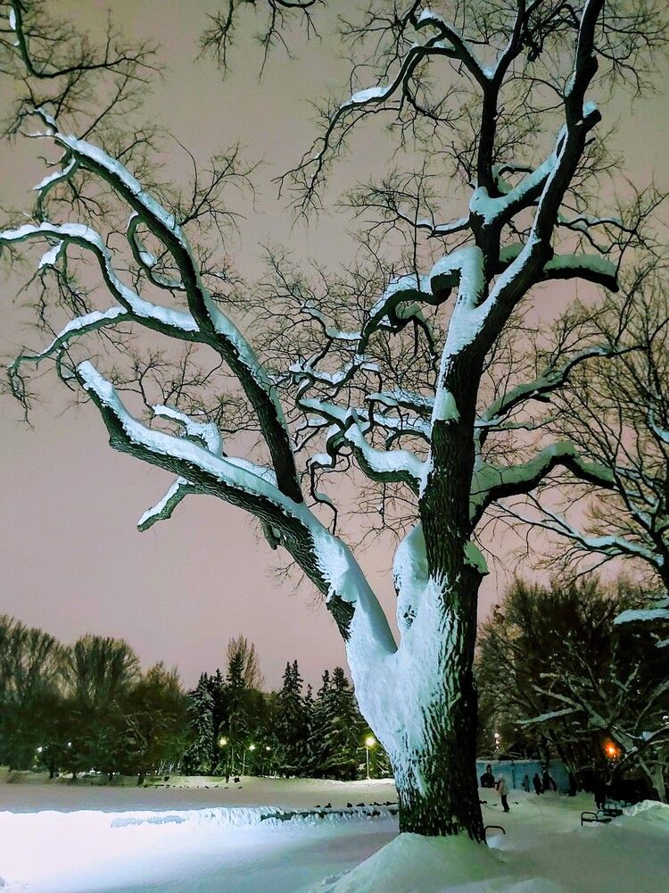 Photograph by Людмила Локтионова