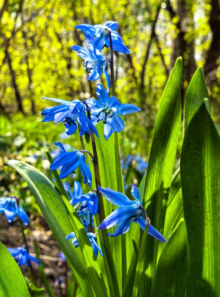 Photograph by Юлия