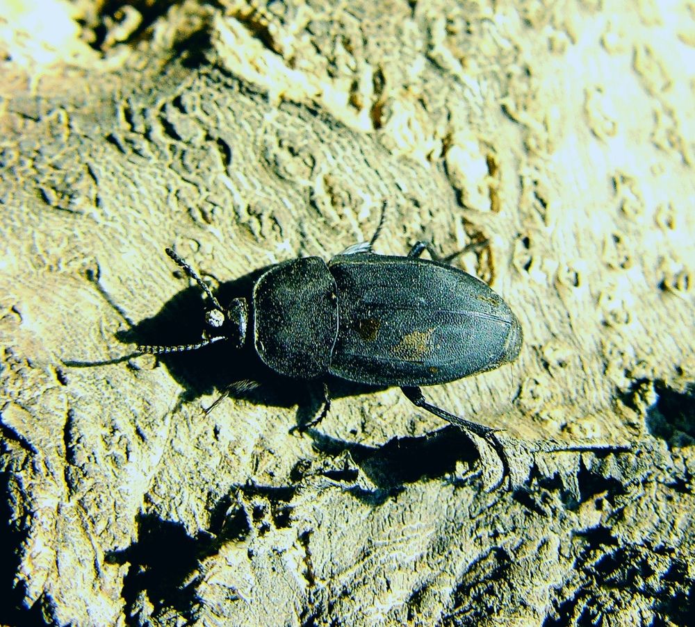 Photograph by Hvabek Kim