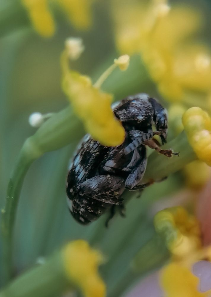 Photograph by Наталия Соболева