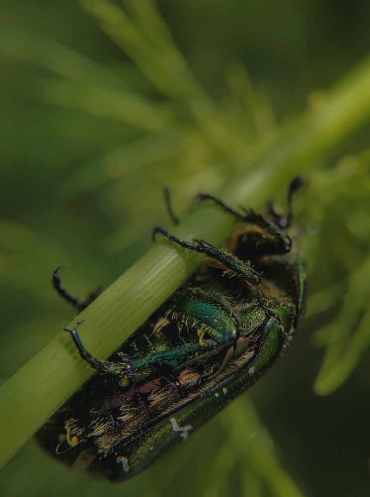 Photograph by Наталия Соболева