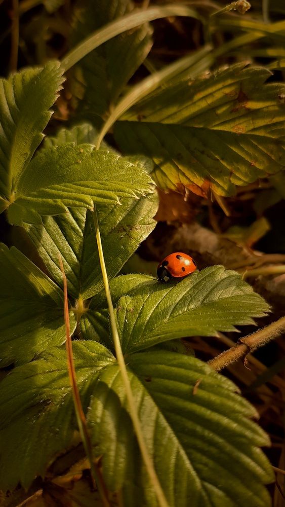 Photograph by Степан Макрушин