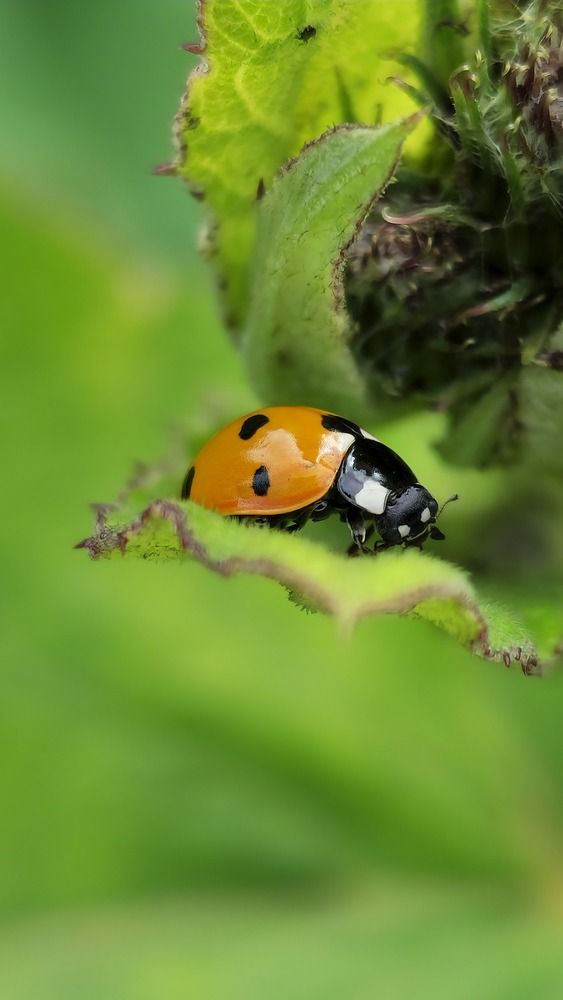 Photograph by Ольга Быстрова