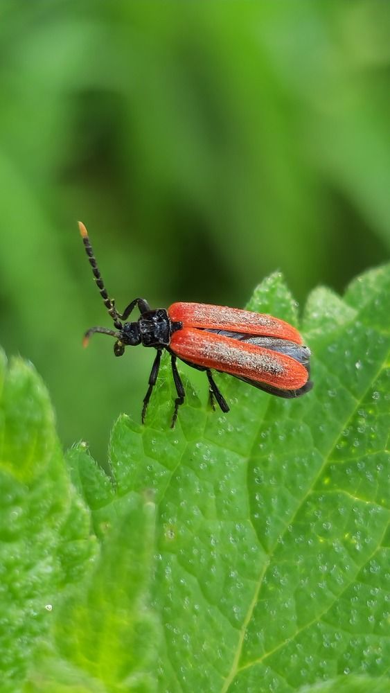 Photograph by Ольга Быстрова