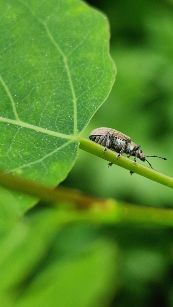 Photograph by Ольга Быстрова