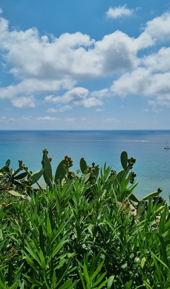 Photograph by Елена
