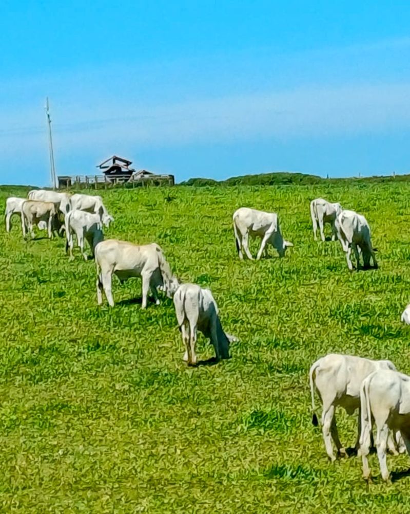 Photograph by adriana menez