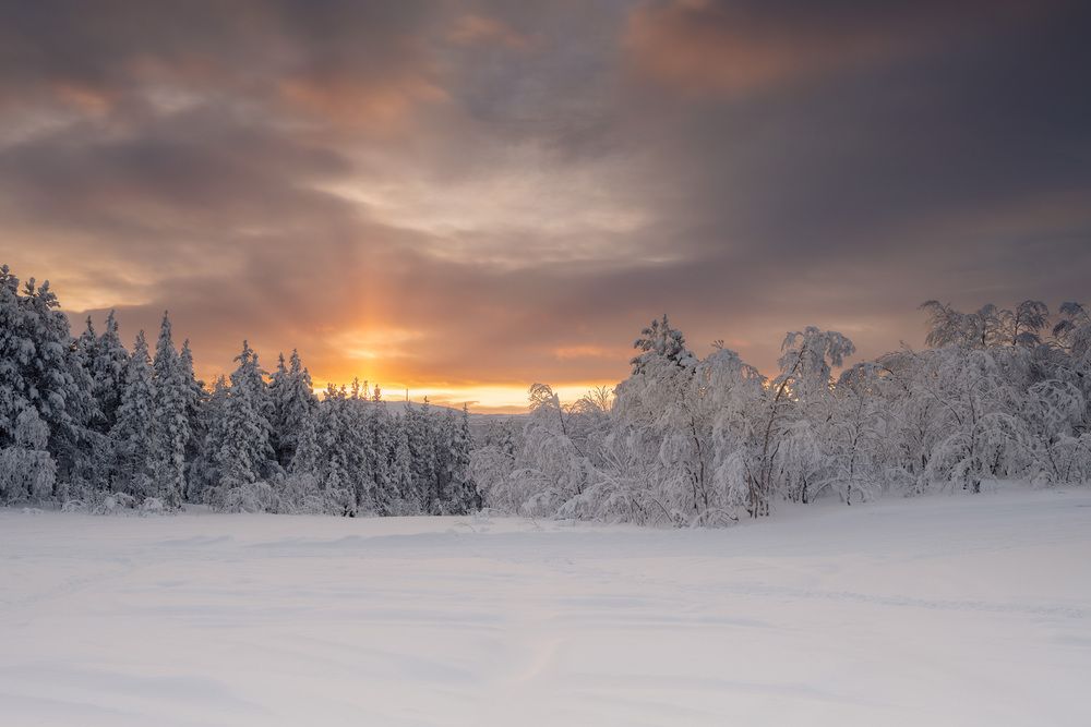 Photograph by Ворошилов Александр