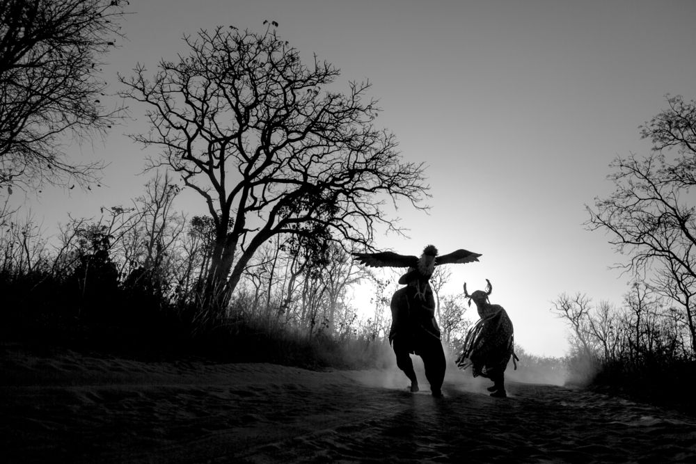 Photograph by FLAVIO SOUZA CRUZ