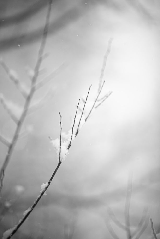 Photograph by Виктор Мороз