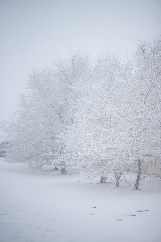 Photograph by Виктор Мороз