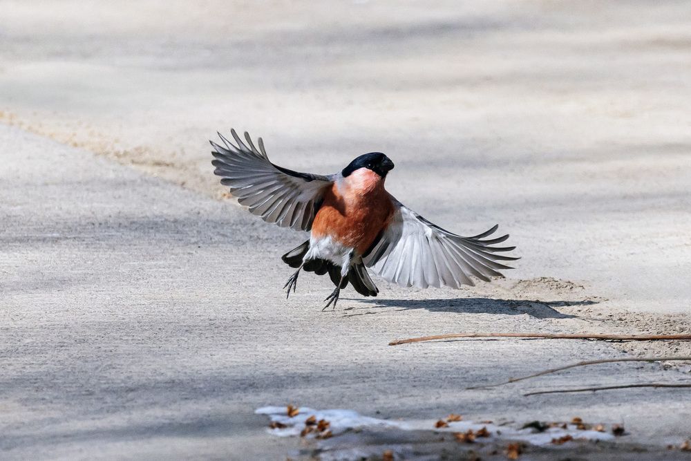 Photograph by Мороз Олег