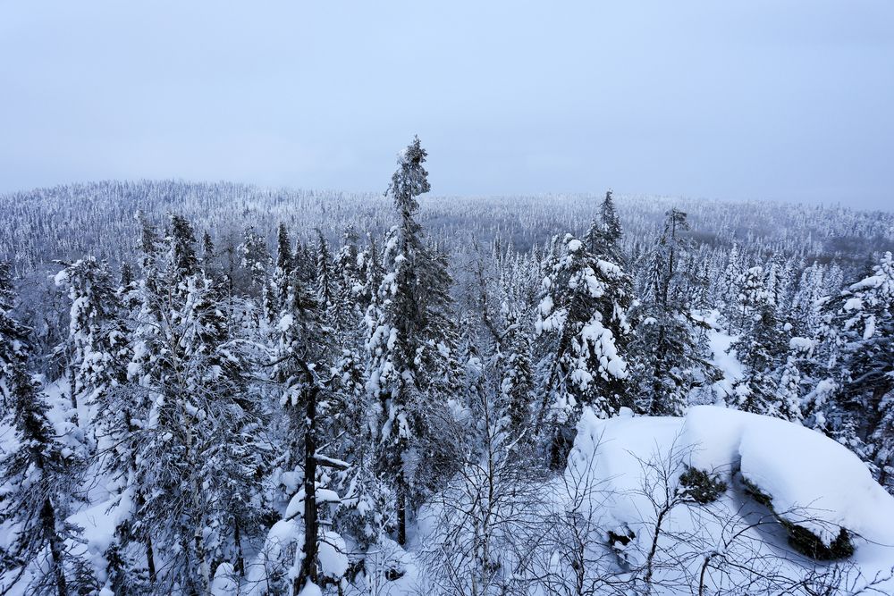 Photograph by Алексей Федотов