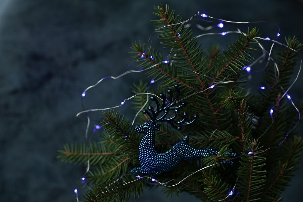 Photograph by Елена Одынец