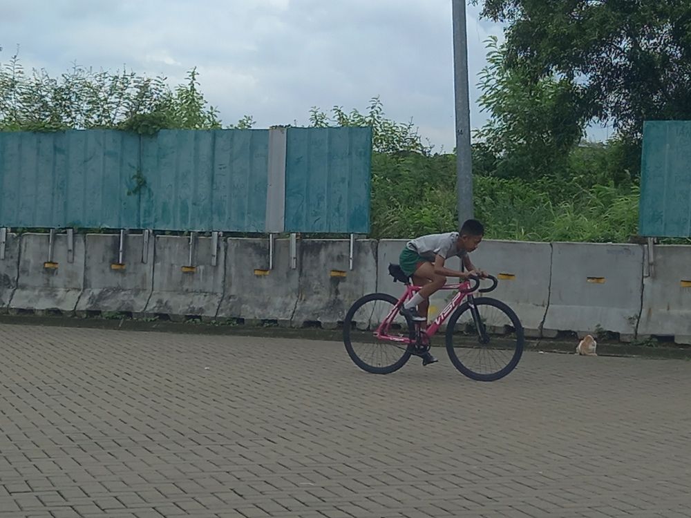 A boy riding a bicycle