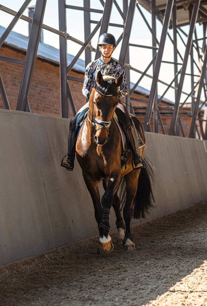 Фотография #13196435