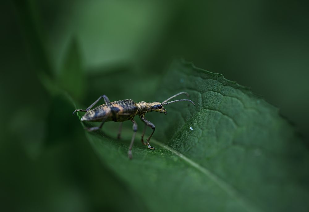Photograph by Ирешева Мария