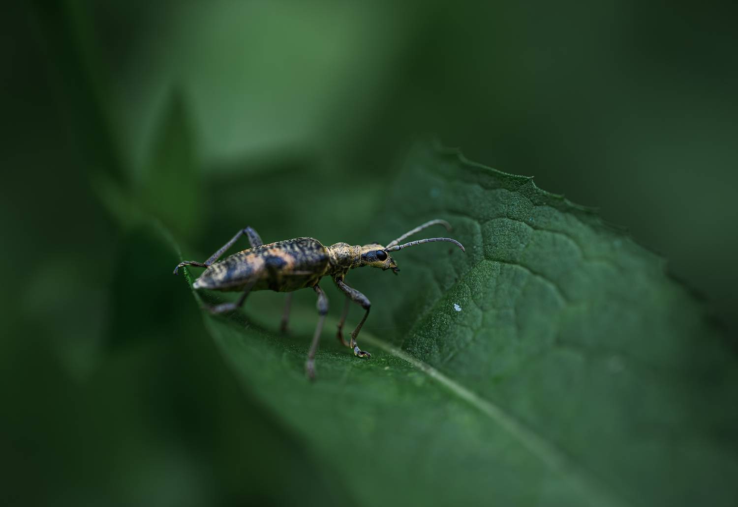 Фотография #13196450