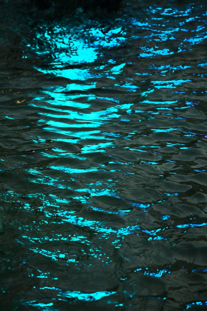 Photograph by Тамара Морозова