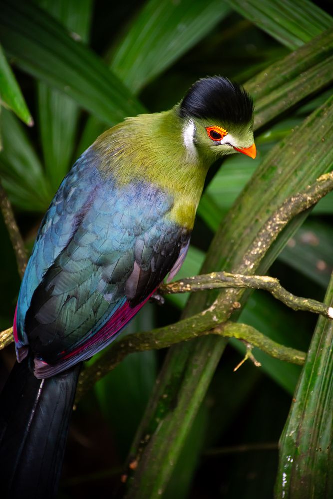 Photograph by Наталья Кокорина