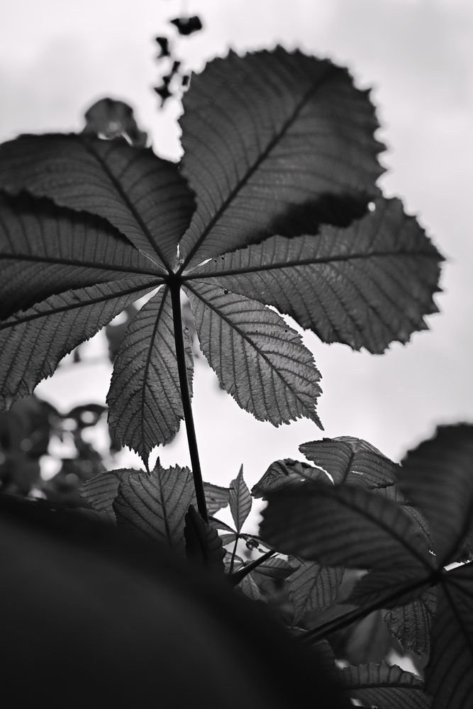 Photograph by Алексей