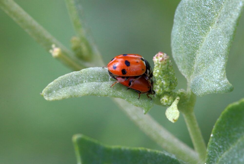 Photograph by Юрий Варюхин