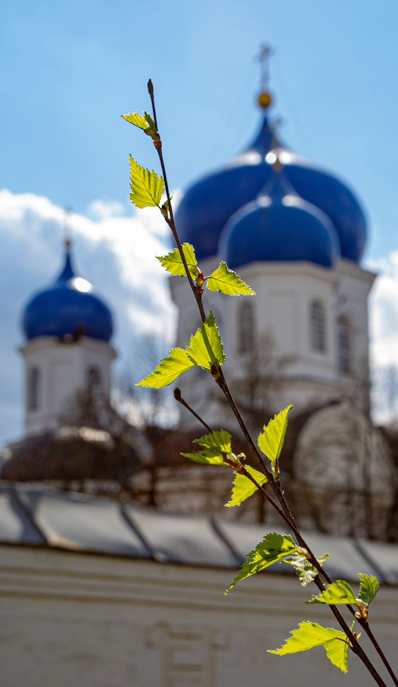 Photograph by Елена Васильева