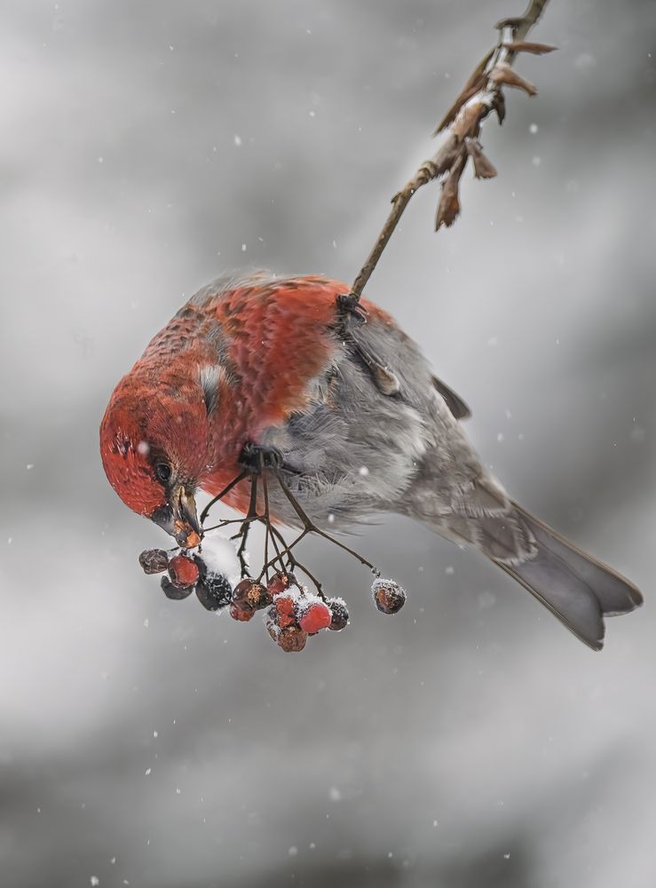 Photograph by Ирешева Мария