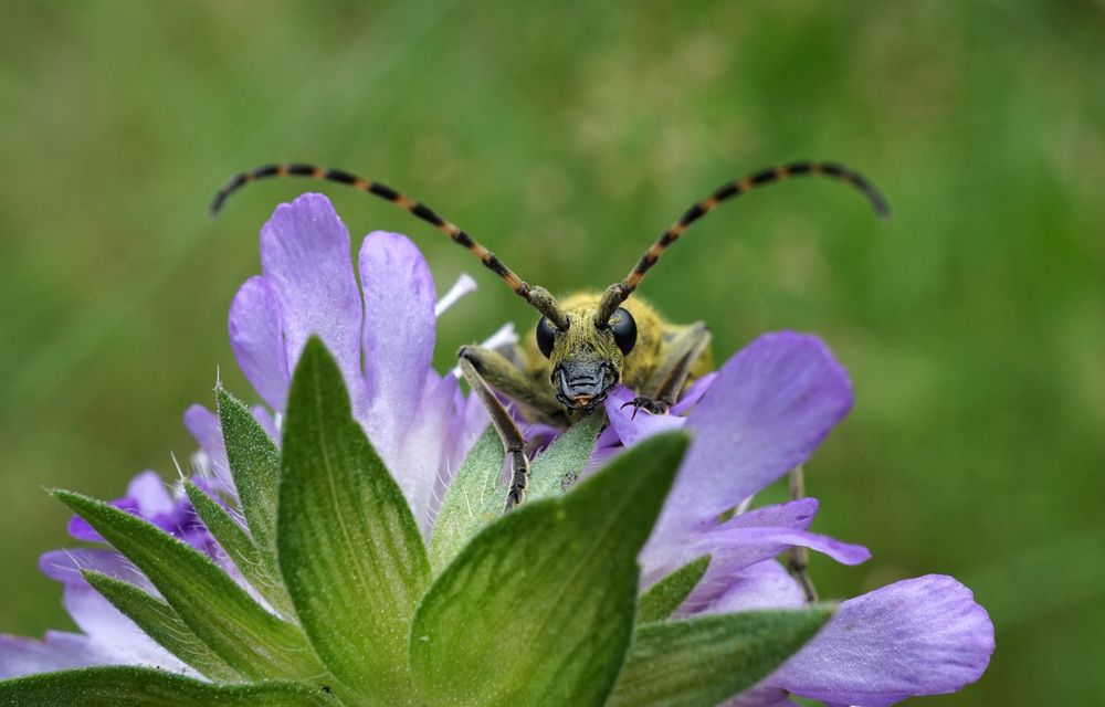 Photograph by Лена Максимкина