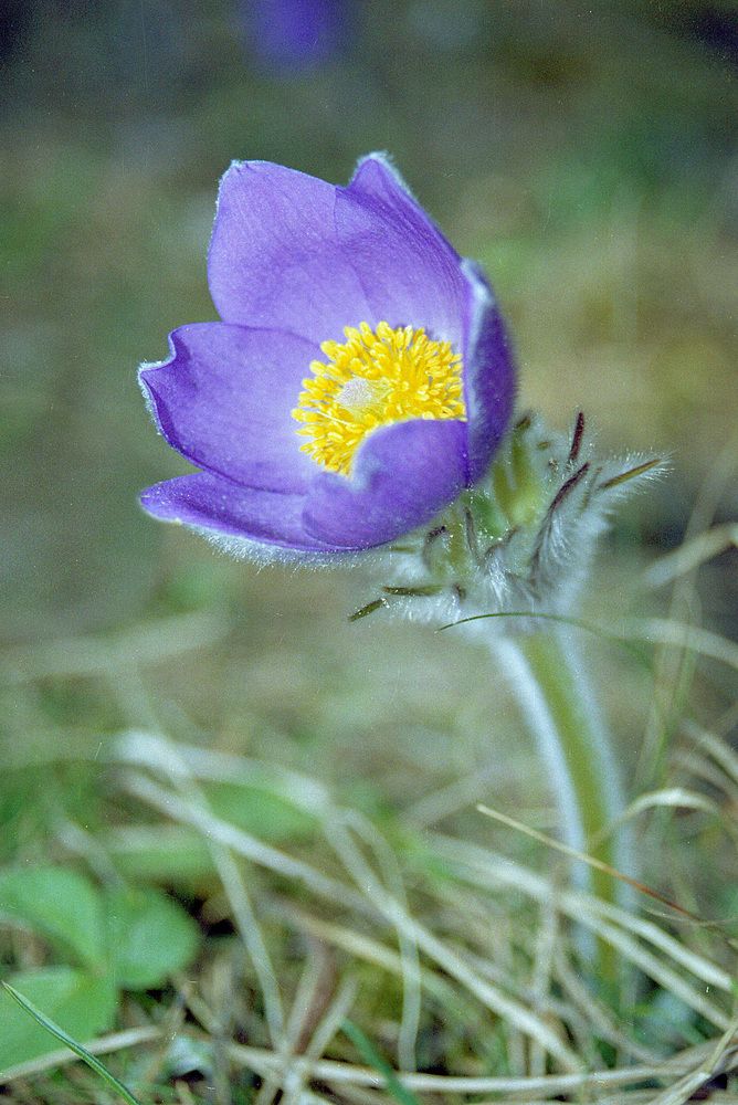 Фотография автора Николай Семенец