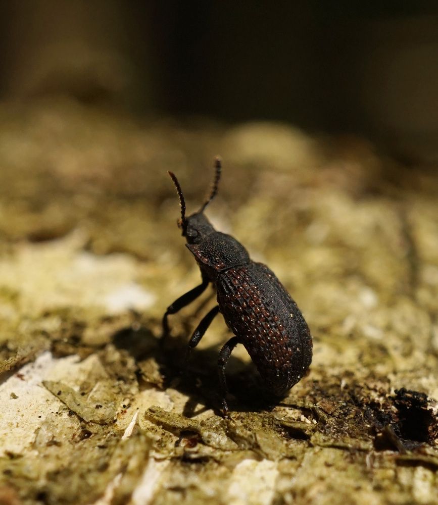 Photograph by Лена Максимкина