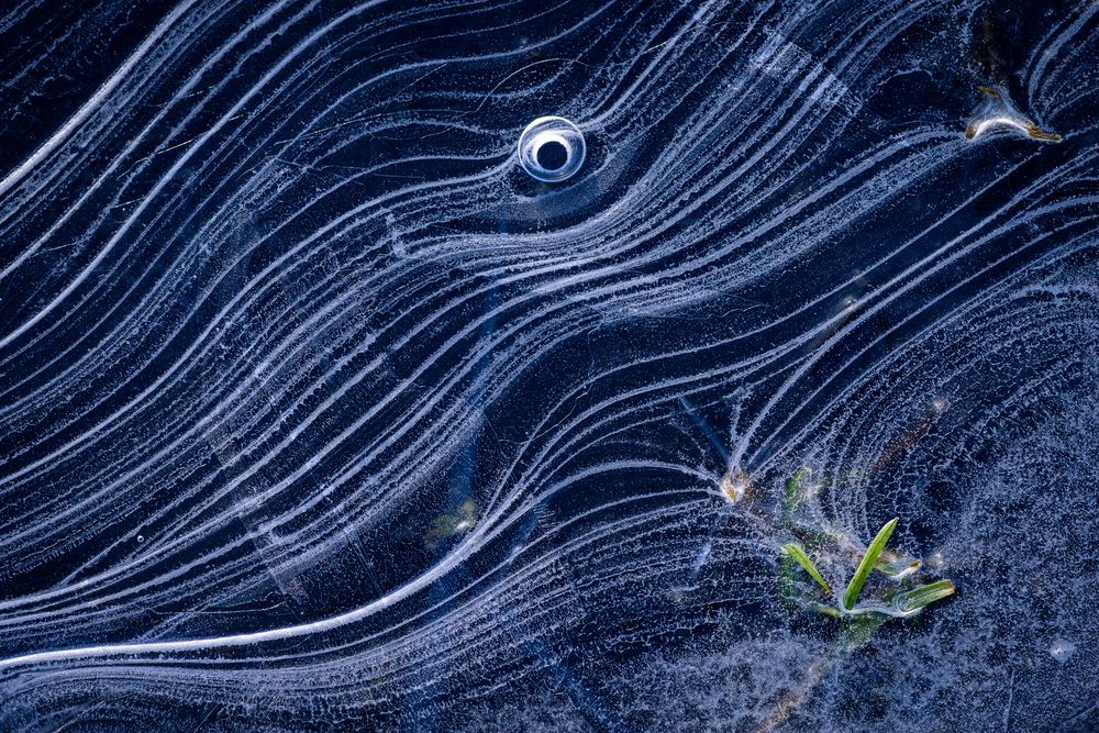 Photograph by Mark Devender