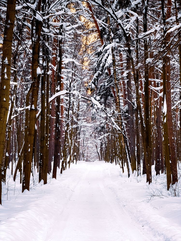 Фотография автора Дарья Андреева