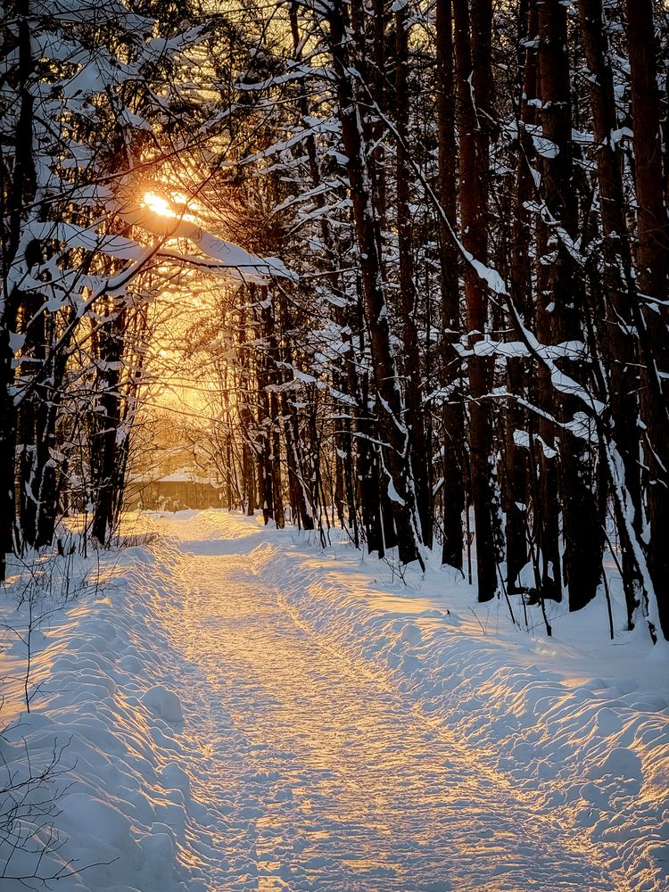 Фотография автора Дарья Андреева
