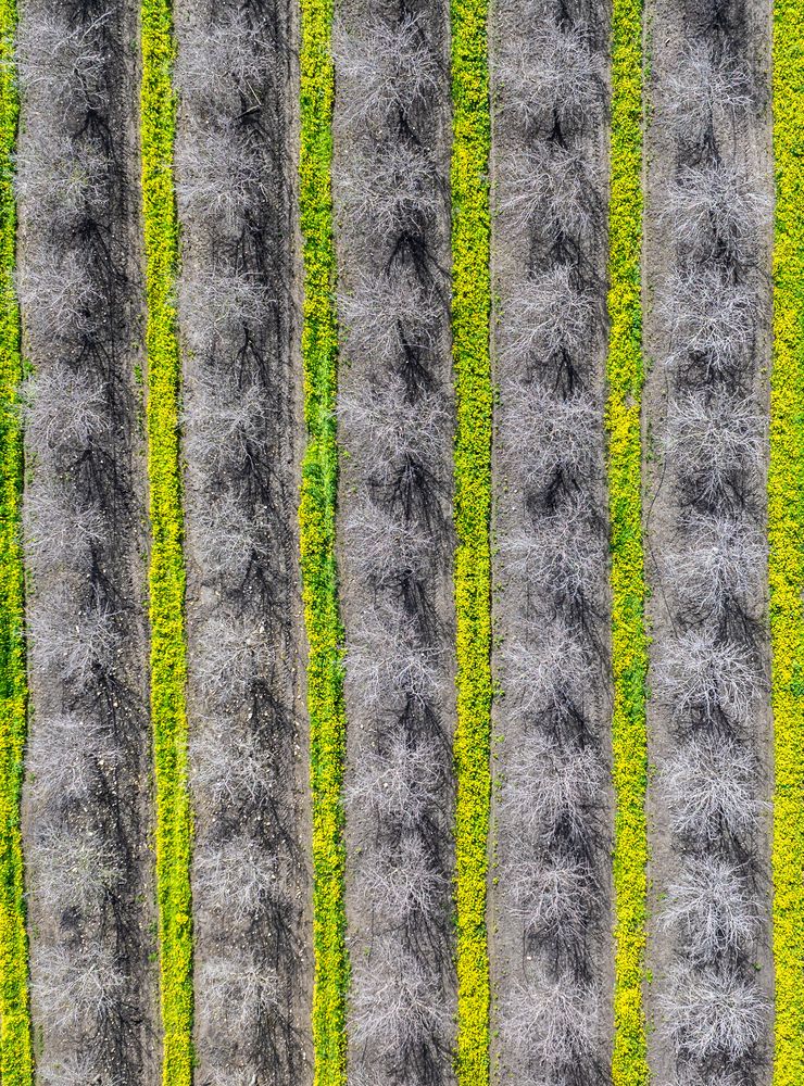 Nature\'s Barcode