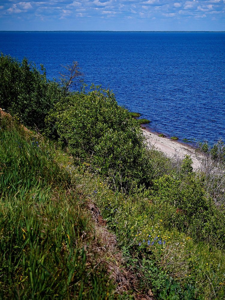 Photograph by София Стрыгина