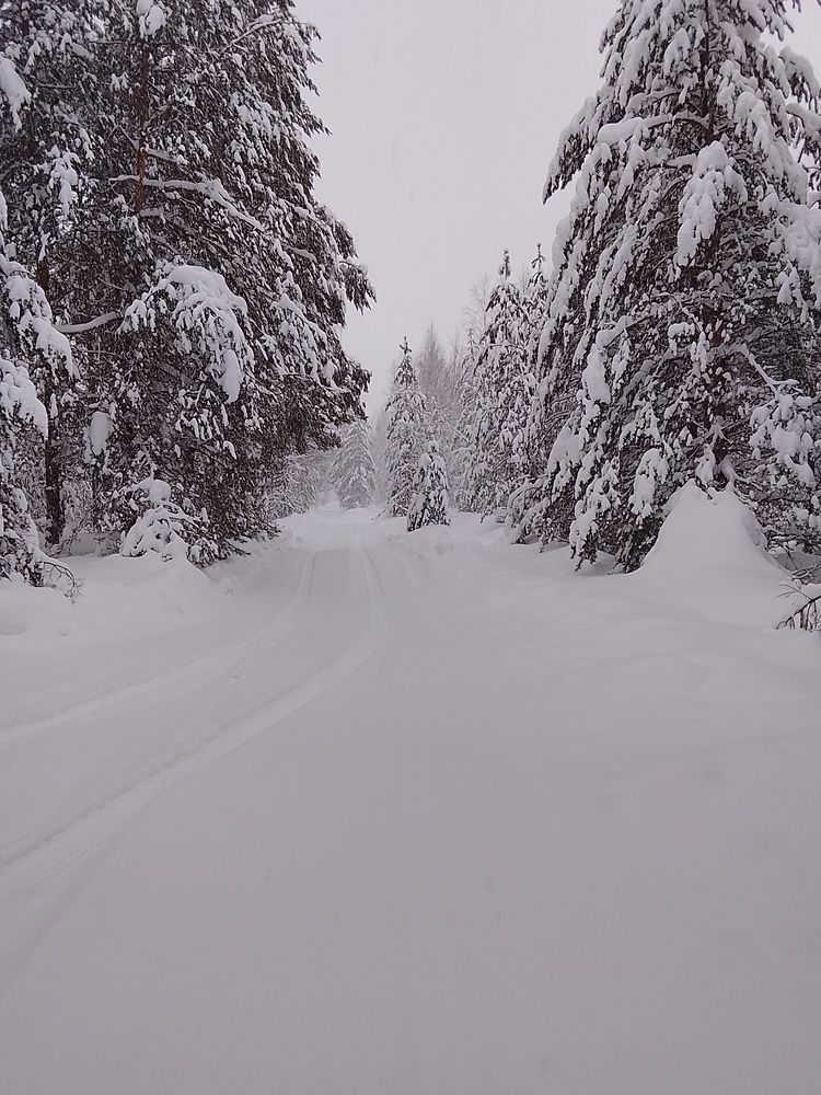 Photo #13196585