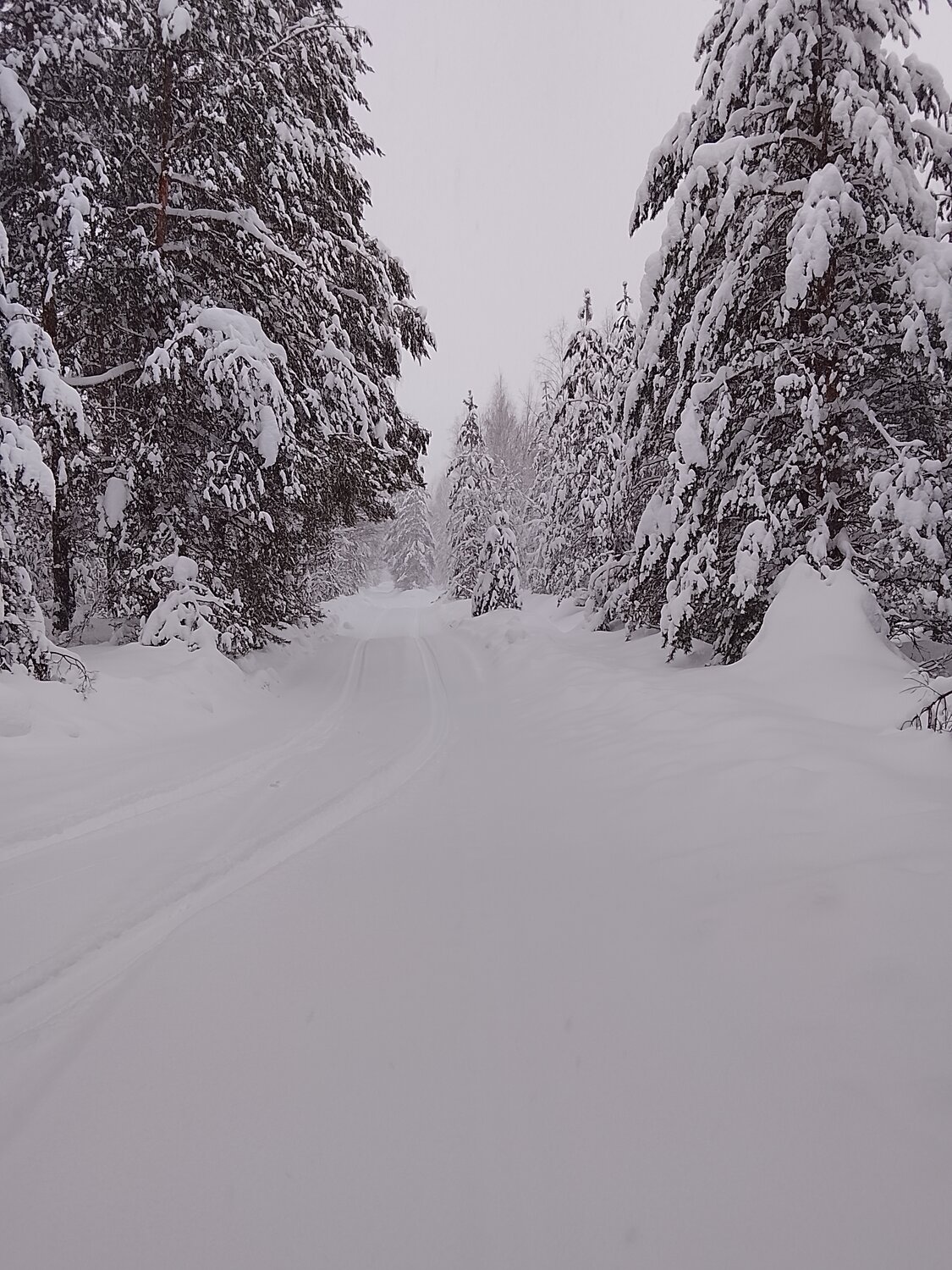 Photo #13196585
