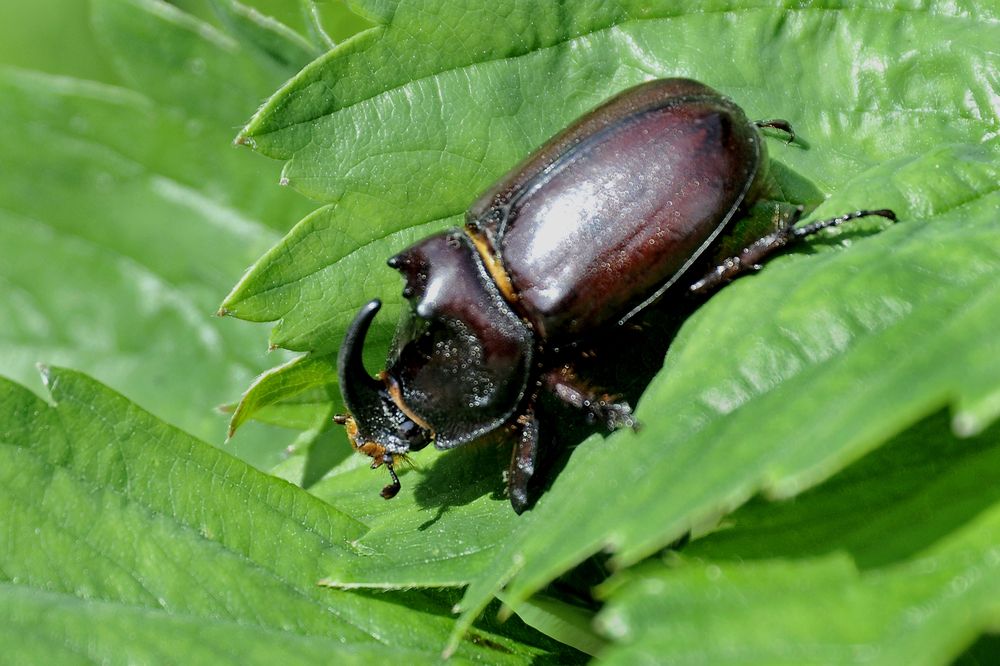 Photograph by Николай Семенец