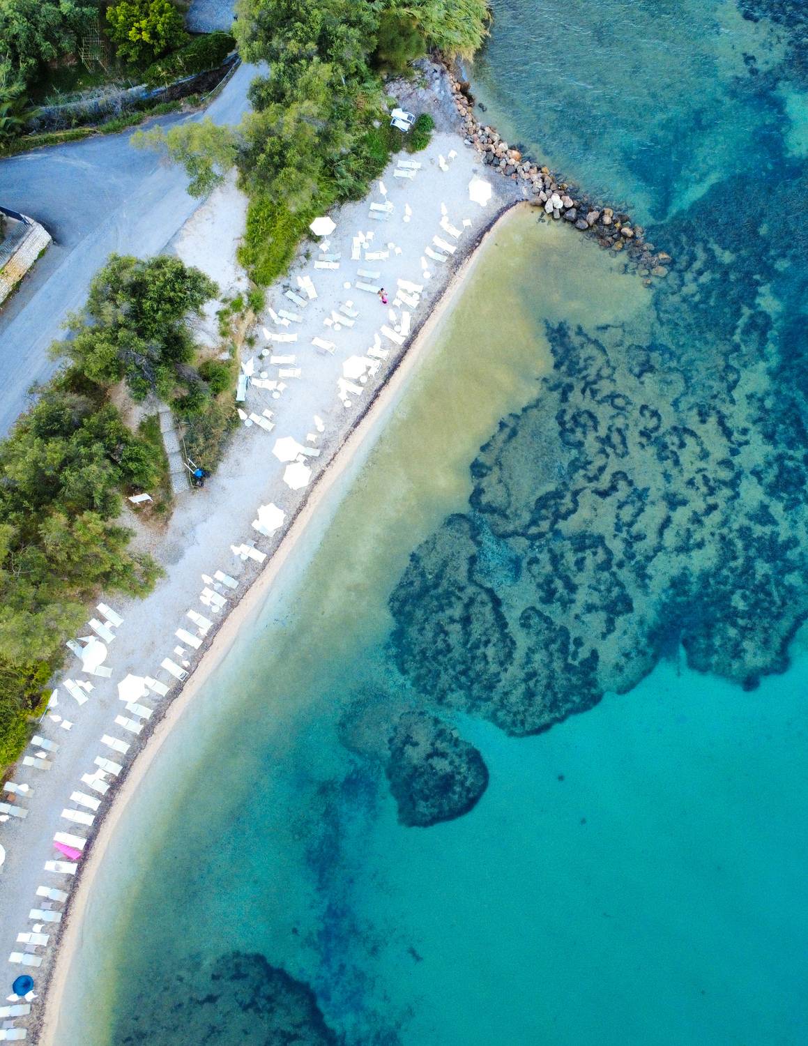 Фотография #13196606