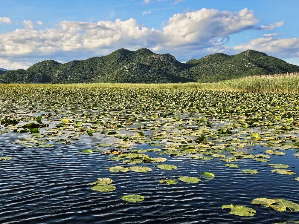 Фотография автора Юлия Ковалева