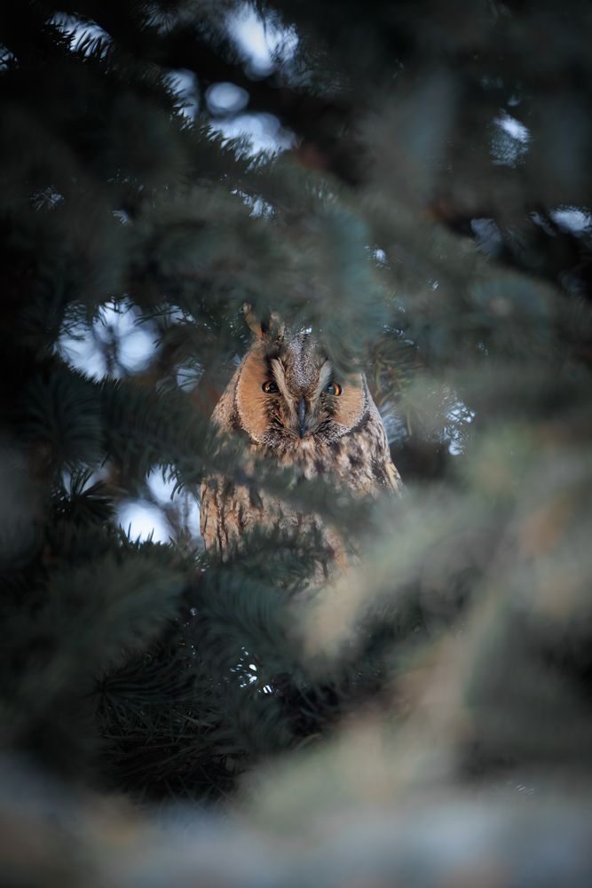 Photograph by Alexandr Lens