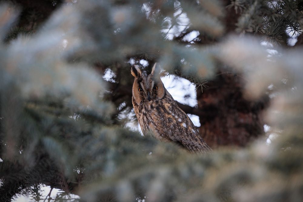 Photograph by Alexandr Lens